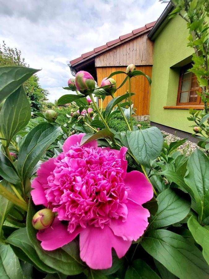 Apartment Goscinna Zagroda Gosciejowice Niemodlin